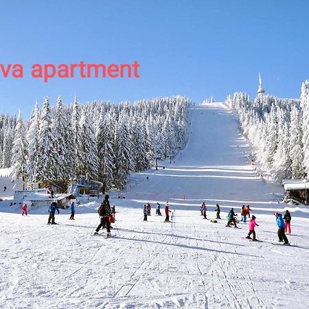 Viva 6 Apartment In Hotel Stenata Pamporovo Exterior foto