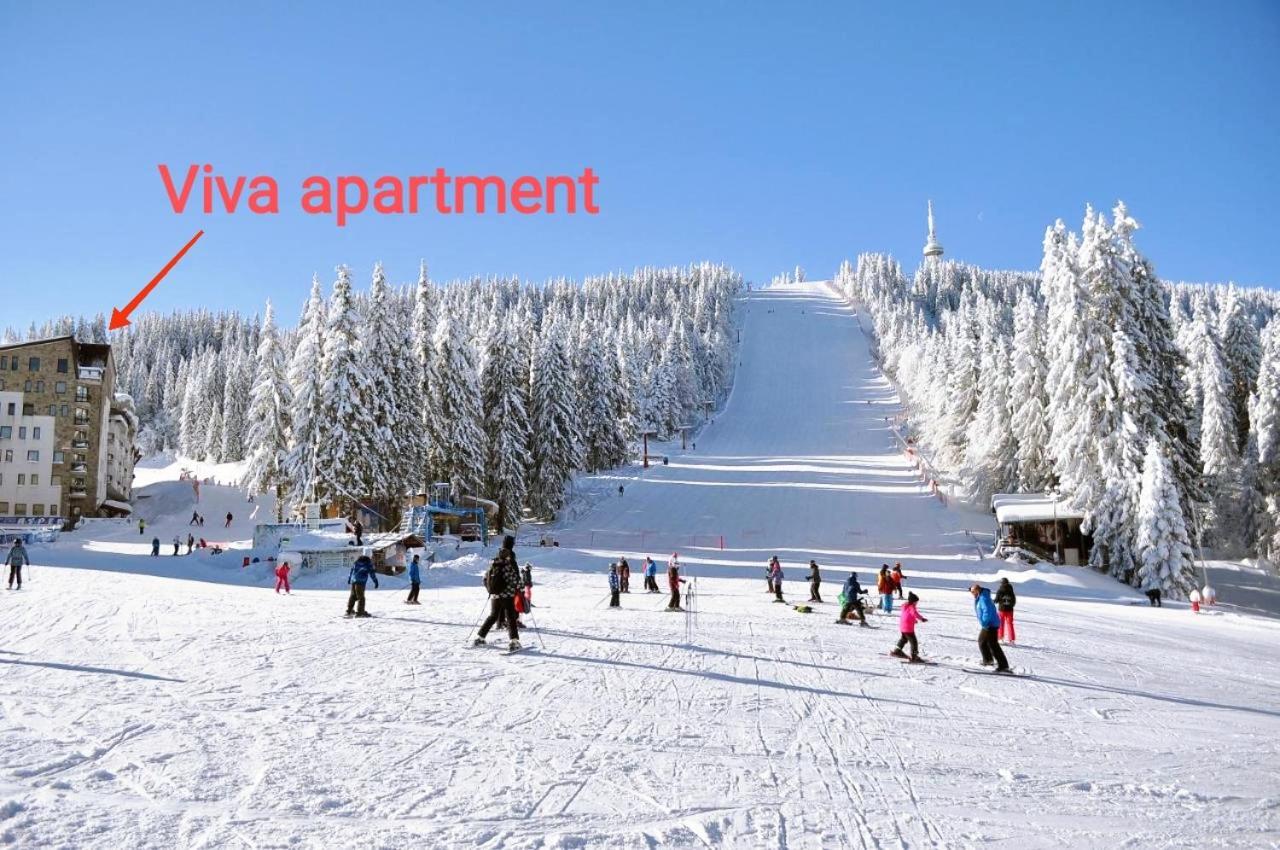 Viva 6 Apartment In Hotel Stenata Pamporovo Exterior foto